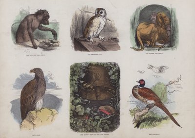 Page from the Attractive Picture Book by English School