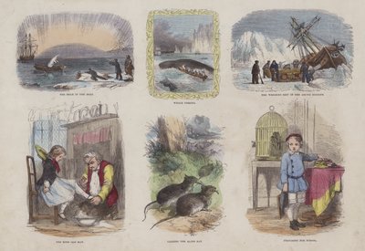 Page from the Attractive Picture Book by English School