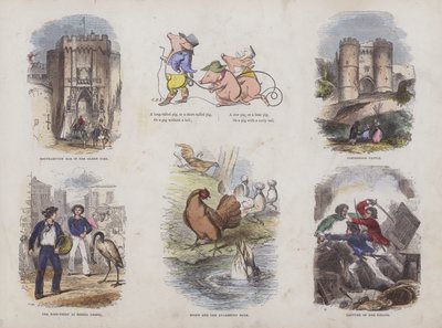 Page from the Attractive Picture Book by English School