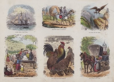 Page from the Attractive Picture Book by English School