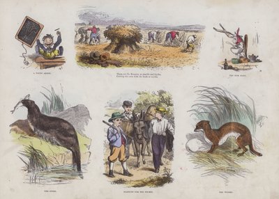 Page from the Attractive Picture Book by English School