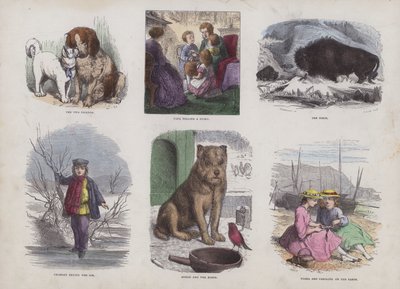 Page from the Attractive Picture Book by English School
