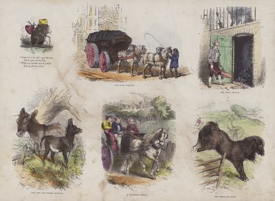 Page from the Attractive Picture Book by English School