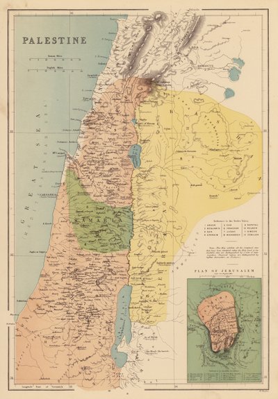 Palestine by English School