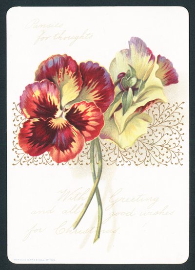 Pansies for Thoughts by English School