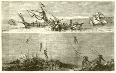 Pearl Fishing by English School
