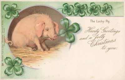 Pig in Clover by English School