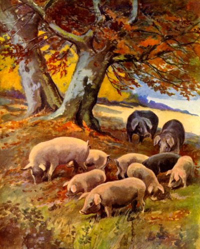 Pigs at Grass by English School