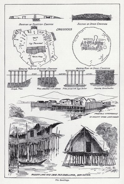Pile Dwellings by English School