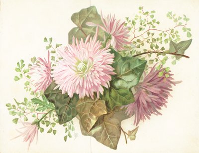 Pink Flowers (Dahlia) by English School