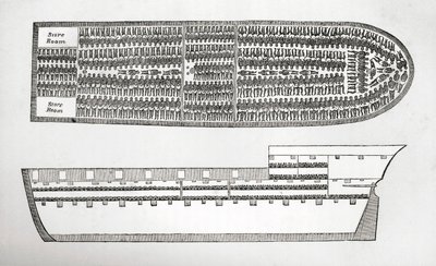 Plan Showing How Slaves Were Transported on Board a Slave Ship in the 18th Century by English School