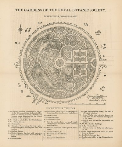 Plan View of the Gardens of the Royal Botanic Society by English School