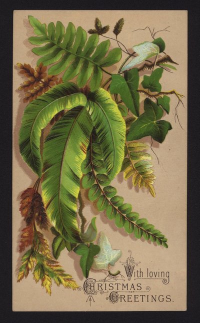Plant leaves, Christmas greetings card, late 19th or early 20th Century by English School