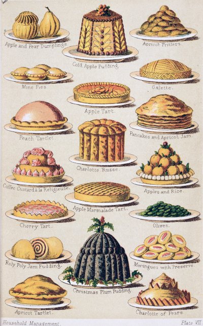Plate VIII from 