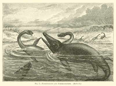Plesiosaurus and Ichthyosaurus by English School