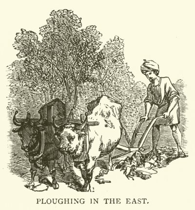 Ploughing in the East by English School