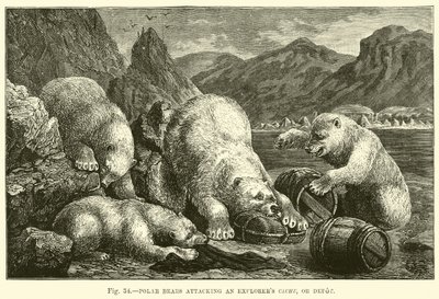 Polar bears attacking an explorers cache, or depot by English School