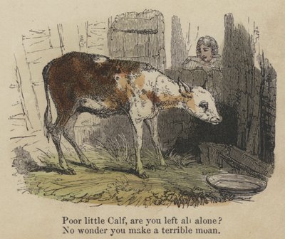 Poor little Calf, are you left all alone? No wonder you make a terrible moan by English School