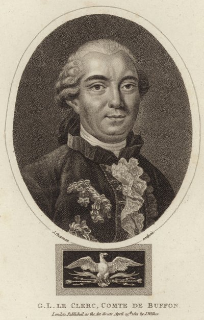 Portrait of Georges-Louis Leclerc, Comte de Buffon by English School