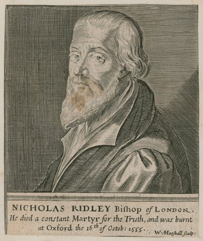 Portrait of Nicholas Ridley by English School