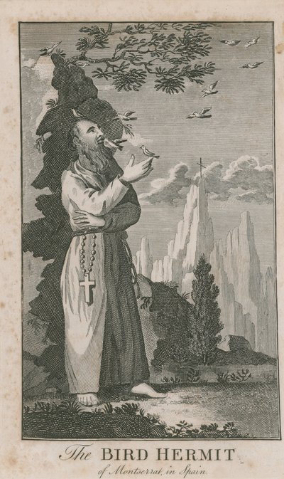 Portrait of the Bird Hermit of Montserrat by English School
