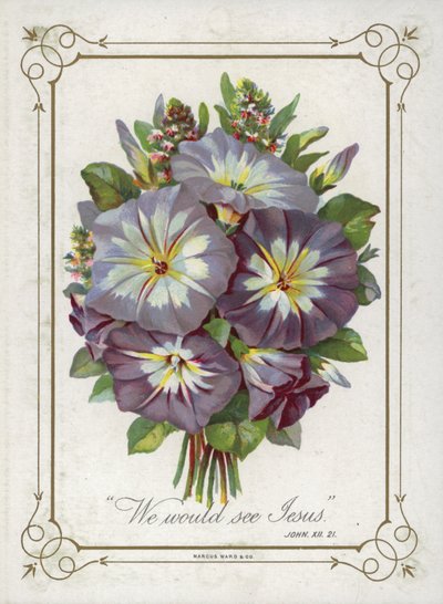Posy of Flowers by English School
