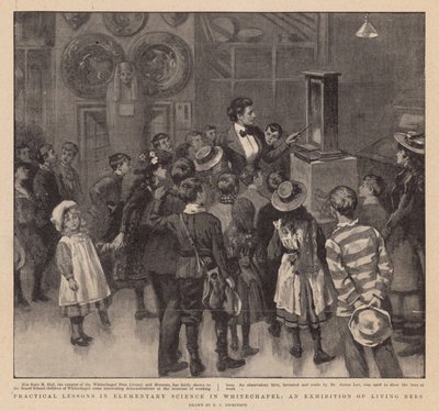 Practical Lessons in Elementary Science in Whitechapel; An Exhibition of Living Bees by English School