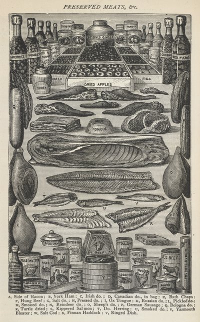 Preserved Meats, from Beeton