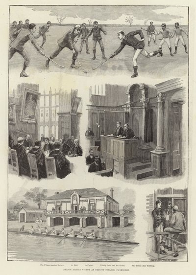 Prince Albert Victor at Trinity College, Cambridge by English School