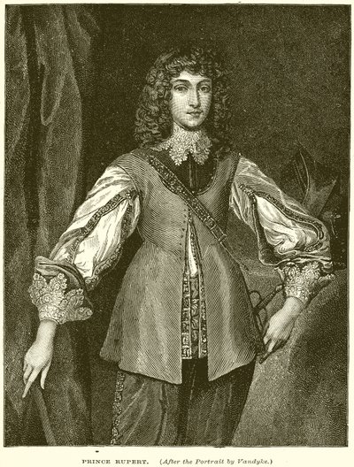 Prince Rupert by English School
