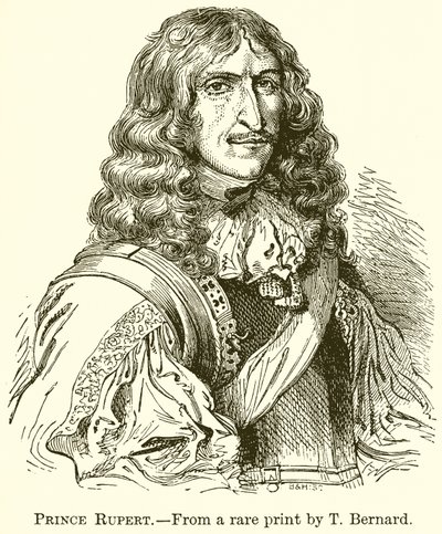 Prince Rupert by English School