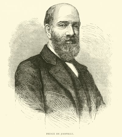 Prince de Joinville, February 1871 by English School