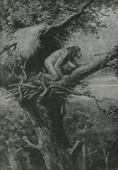 Probably Arboreal - Pictured by R L S by English School