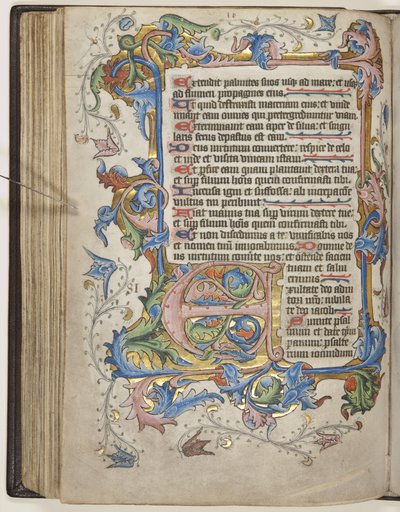 Psalter with Sarum Use Calendar, c.1425-75 by English School
