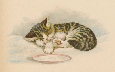 Pussy Cat by English School