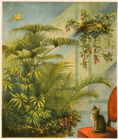 Pussy and Dicky, Cat and Canary by English School