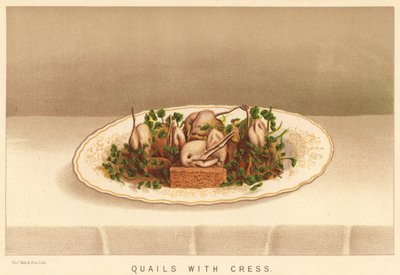 Quails with Cress by English School