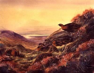 Red Grouse in Moorland, c.1890 by English School