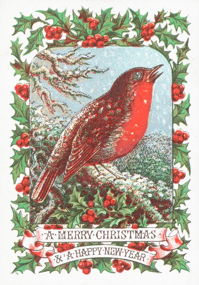 Red Robin Sitting on a Branch by English School