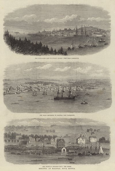 Regatta at Halifax, Nova Scotia (engraving) by English School