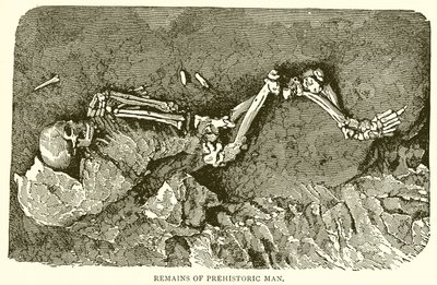 Remains of Prehistoric Man by English School