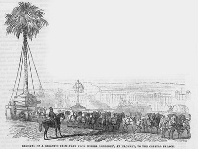 Removal of a Gigantic Palm Tree from Messrs Loddiges at Hackney to the Crystal Palace by English School
