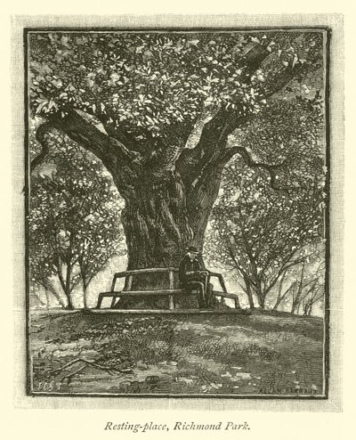 Resting-place, Richmond Park by English School