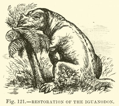 Restoration of the Iguanodon by English School