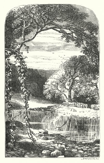 Returning Spring by English School