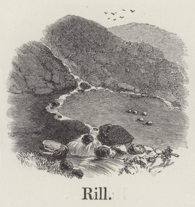 Rill by English School