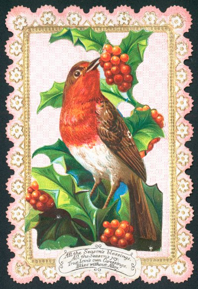 Robin Eating Berries by English School