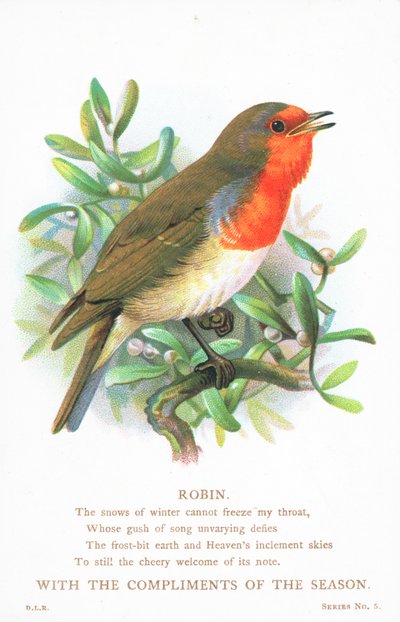 Robin Singing on Branch by English School