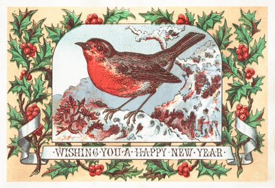 Robin standing on snowy branch by English School