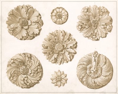 Roman by English School